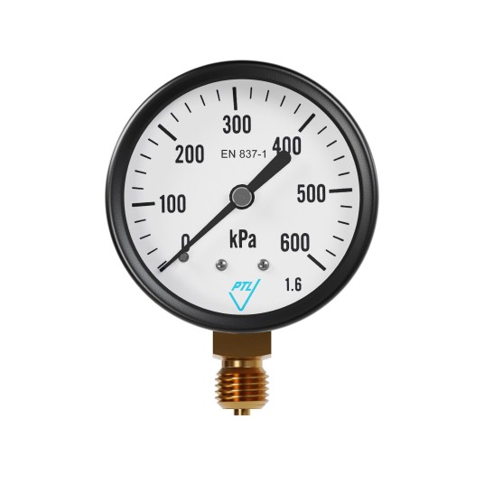 PT - MANOMETR STANDARD FI63 0-6B 1/4'' RAD -zdjęcie numer 1