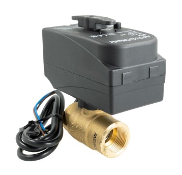 AF - 2-DROG. ZAW. KUL. Z SIŁOWNIKIEM BEV 1'' NO