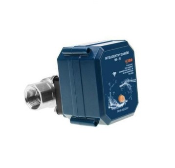 ZM - ELEKTROZAWÓR KULOWY 1" GW Wi-fi