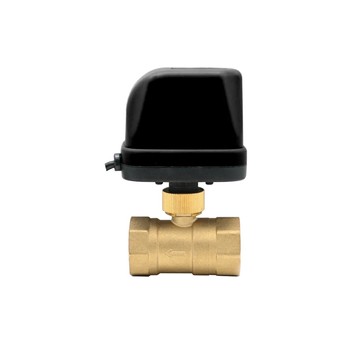ZM - ELEKTROZAWÓR KULOWY 5/4" GW